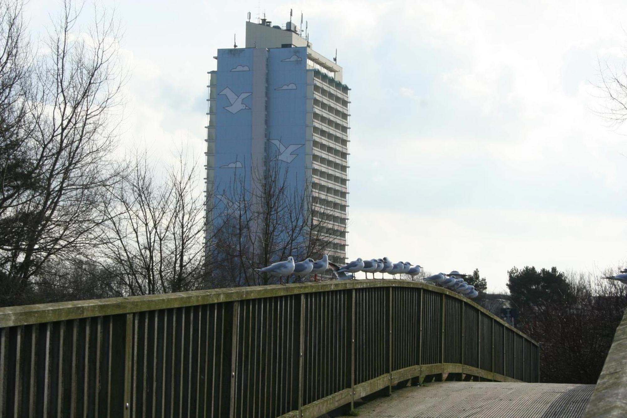 Ferienappartement K110 Fuer 2-4 Personen In Strandnaehe Brasilien Exterior foto